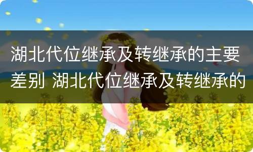 湖北代位继承及转继承的主要差别 湖北代位继承及转继承的主要差别在于