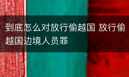 到底怎么对放行偷越国 放行偷越国边境人员罪