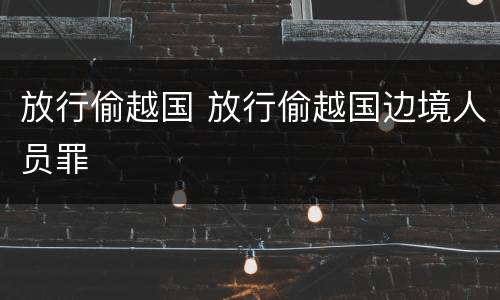 放行偷越国 放行偷越国边境人员罪