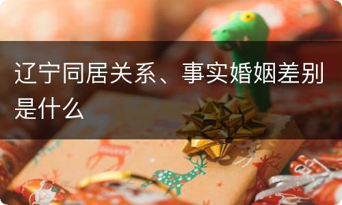辽宁同居关系、事实婚姻差别是什么