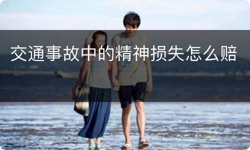 交通事故中的精神损失怎么赔