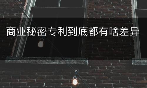 商业秘密专利到底都有啥差异