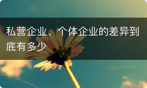 私营企业、个体企业的差异到底有多少