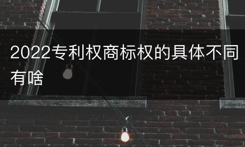 2022专利权商标权的具体不同有啥