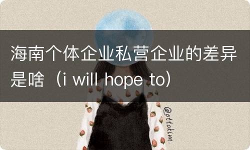 海南个体企业私营企业的差异是啥（i will hope to）