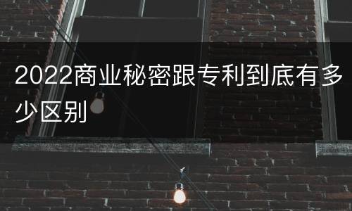 2022商业秘密跟专利到底有多少区别