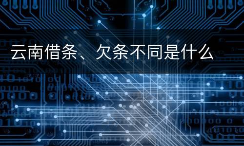 云南借条、欠条不同是什么