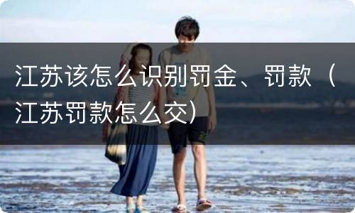 江苏该怎么识别罚金、罚款（江苏罚款怎么交）