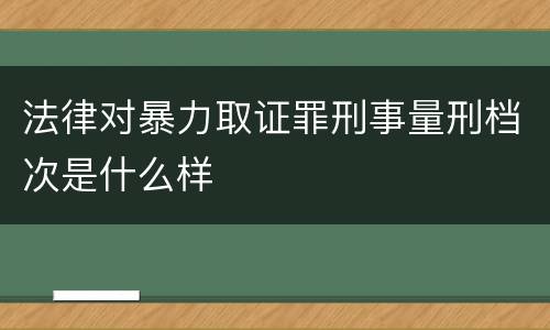 法律对暴力取证罪刑事量刑档次是什么样