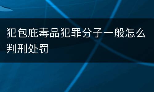 犯包庇毒品犯罪分子一般怎么判刑处罚