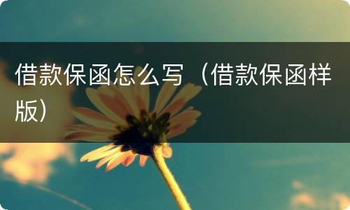 借款保函怎么写（借款保函样版）