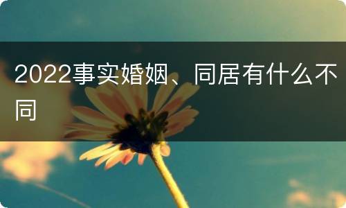 2022事实婚姻、同居有什么不同