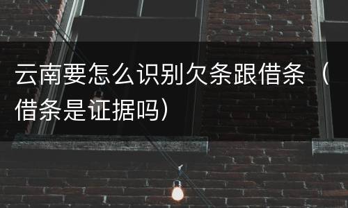 云南要怎么识别欠条跟借条（借条是证据吗）