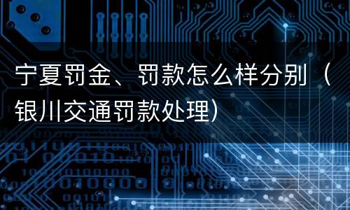 宁夏罚金、罚款怎么样分别（银川交通罚款处理）