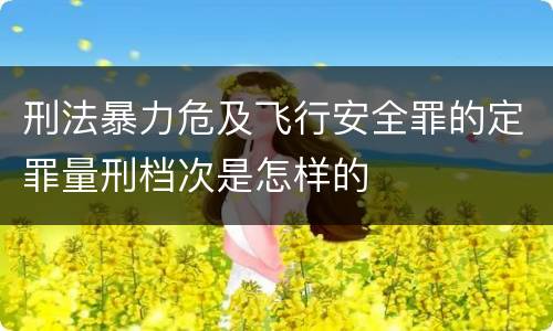 刑法暴力危及飞行安全罪的定罪量刑档次是怎样的