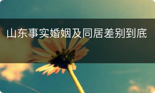 山东事实婚姻及同居差别到底