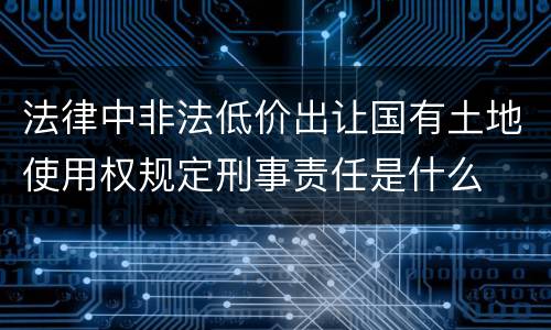 法律中非法低价出让国有土地使用权规定刑事责任是什么