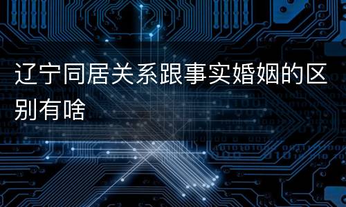 辽宁同居关系跟事实婚姻的区别有啥