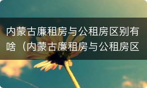 内蒙古廉租房与公租房区别有啥（内蒙古廉租房与公租房区别有啥不同）