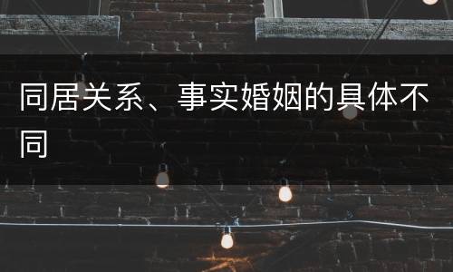 同居关系、事实婚姻的具体不同