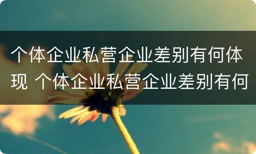 个体企业私营企业差别有何体现 个体企业私营企业差别有何体现呢