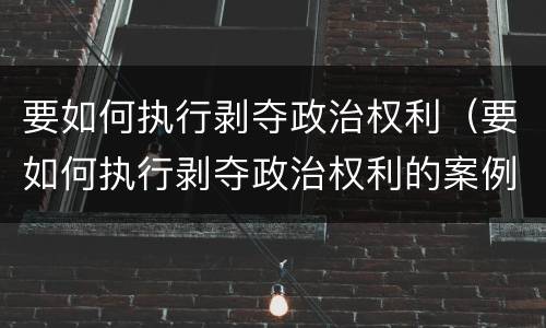 要如何执行剥夺政治权利（要如何执行剥夺政治权利的案例）
