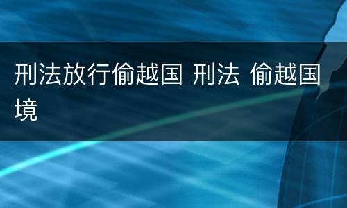 刑法放行偷越国 刑法 偷越国境