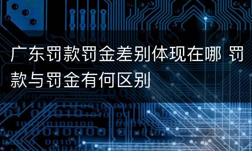 广东罚款罚金差别体现在哪 罚款与罚金有何区别