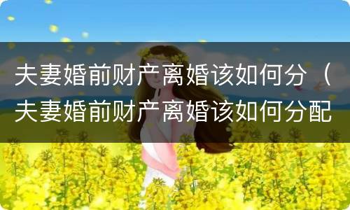 夫妻婚前财产离婚该如何分（夫妻婚前财产离婚该如何分配）