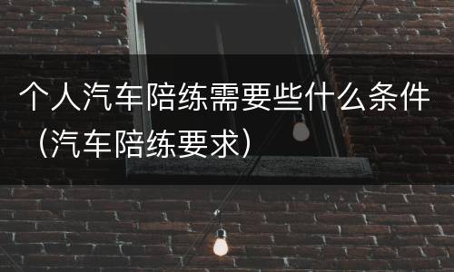 个人汽车陪练需要些什么条件（汽车陪练要求）