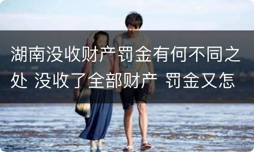 湖南没收财产罚金有何不同之处 没收了全部财产 罚金又怎么办
