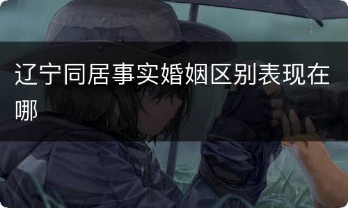 辽宁同居事实婚姻区别表现在哪