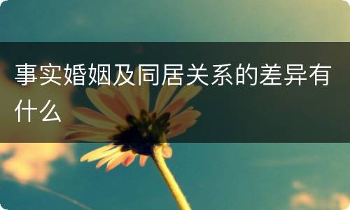 事实婚姻及同居关系的差异有什么