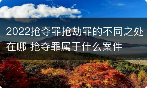 2022抢夺罪抢劫罪的不同之处在哪 抢夺罪属于什么案件