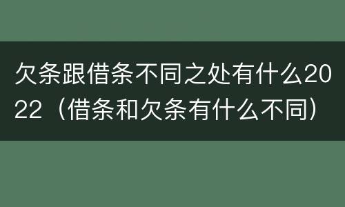 欠条跟借条不同之处有什么2022（借条和欠条有什么不同）