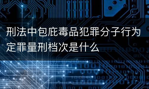 刑法中包庇毒品犯罪分子行为定罪量刑档次是什么