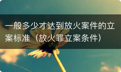 一般多少才达到放火案件的立案标准（放火罪立案条件）