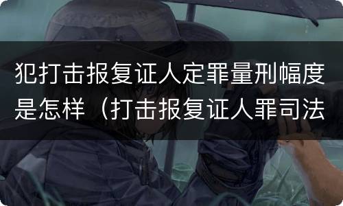 犯打击报复证人定罪量刑幅度是怎样（打击报复证人罪司法解释）