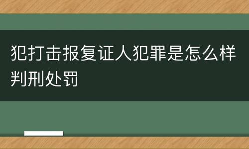 犯打击报复证人犯罪是怎么样判刑处罚