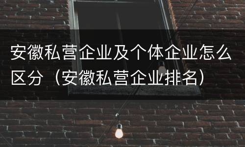 安徽私营企业及个体企业怎么区分（安徽私营企业排名）