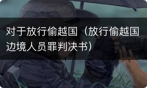 对于放行偷越国（放行偷越国边境人员罪判决书）