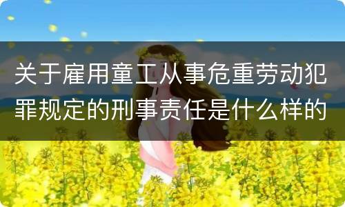 关于雇用童工从事危重劳动犯罪规定的刑事责任是什么样的