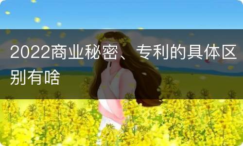 2022商业秘密、专利的具体区别有啥
