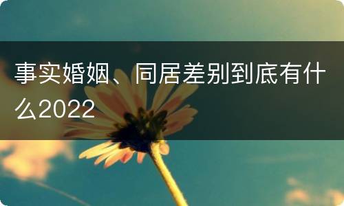 事实婚姻、同居差别到底有什么2022