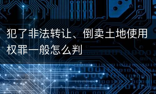 犯了非法转让、倒卖土地使用权罪一般怎么判