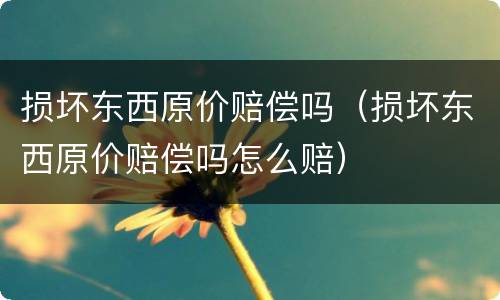 损坏东西原价赔偿吗（损坏东西原价赔偿吗怎么赔）