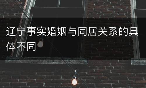辽宁事实婚姻与同居关系的具体不同