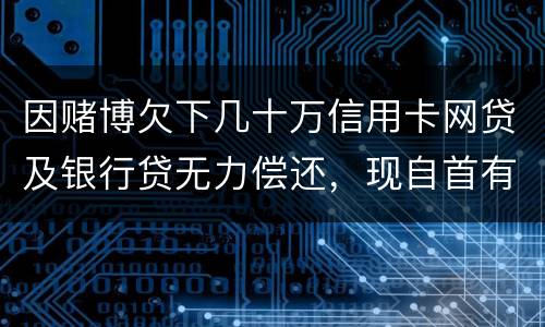 因赌博欠下几十万信用卡网贷及银行贷无力偿还，现自首有什么后果