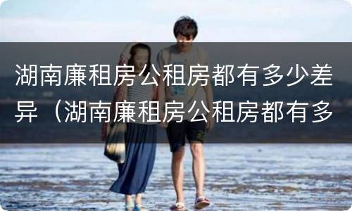 湖南廉租房公租房都有多少差异（湖南廉租房公租房都有多少差异的）