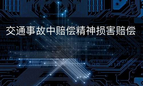 交通事故中赔偿精神损害赔偿